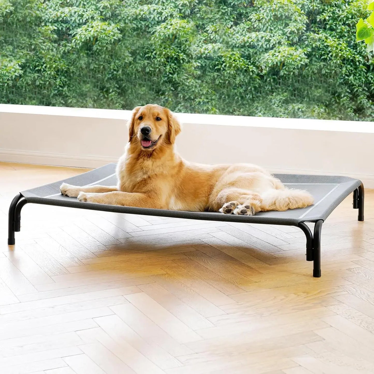 Pet Dog Bed