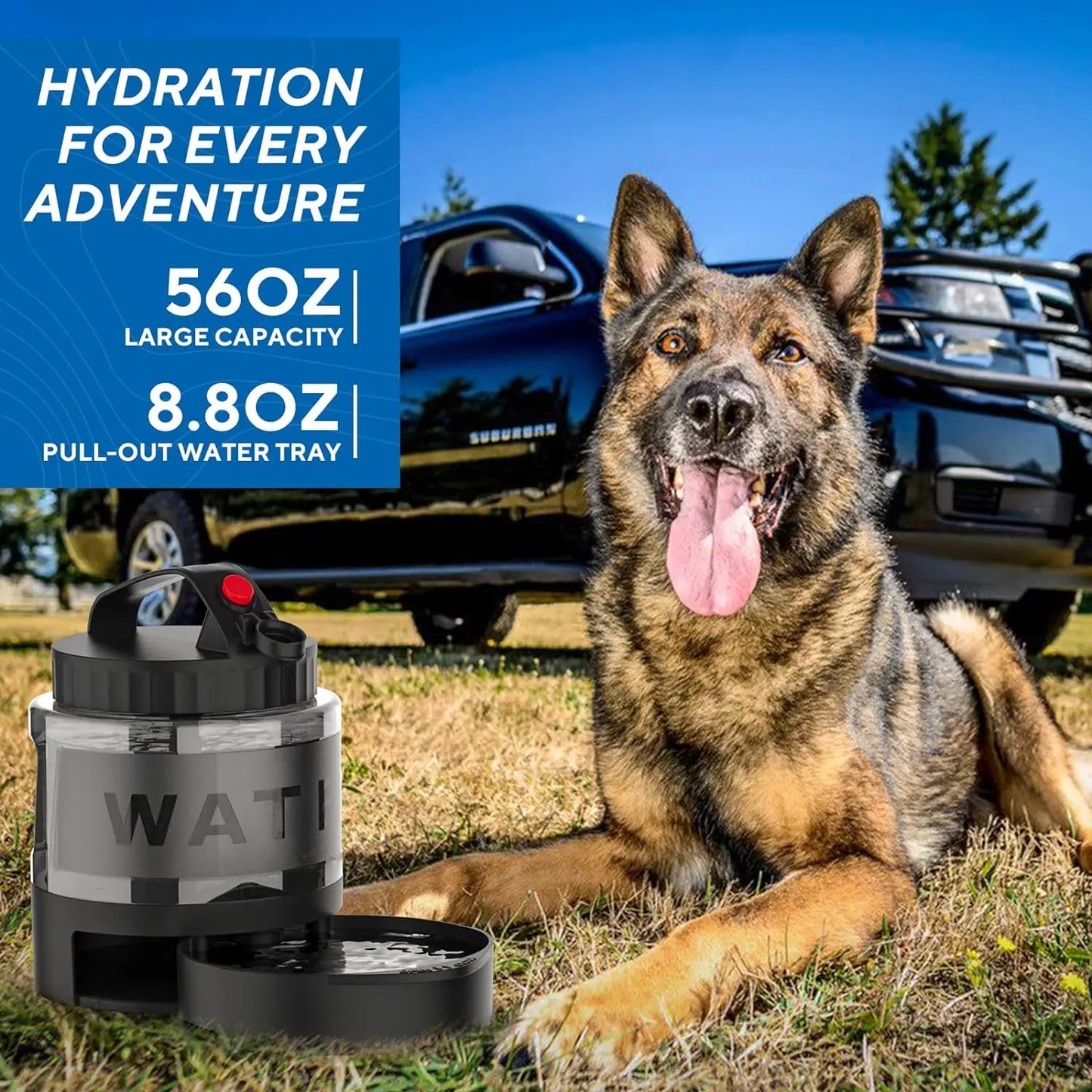 Pet Dog Water Bottle
