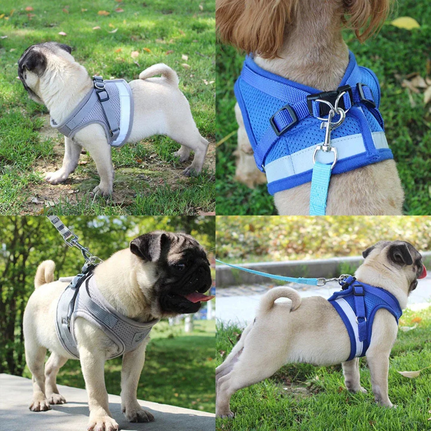 Pet Dog Harness