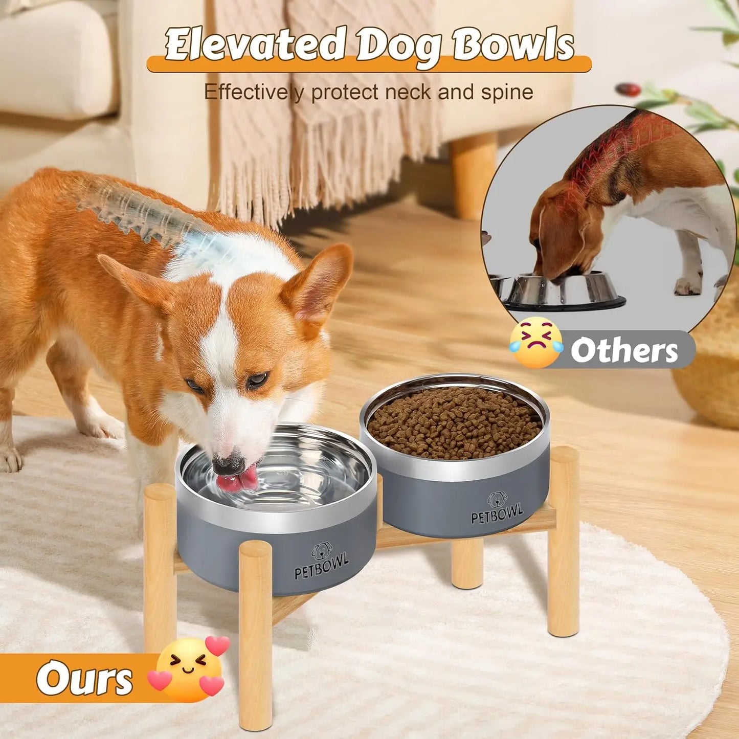 Pet Water / Food Bowls