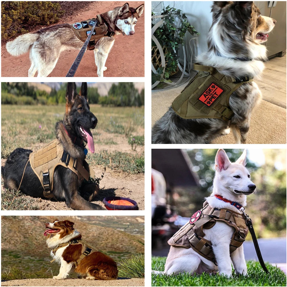 Tactical Dog Harness