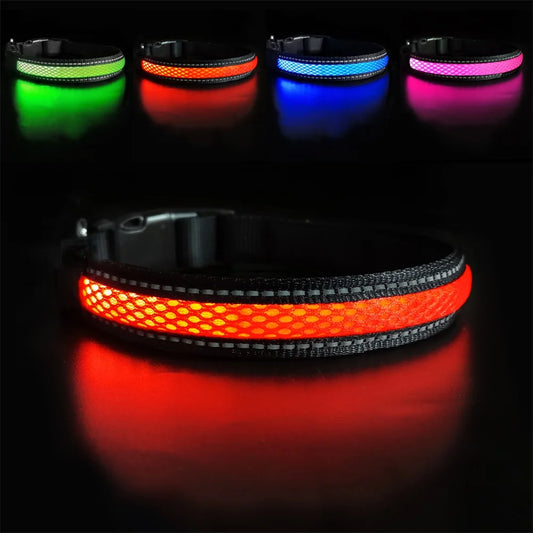 LED Dog Collar