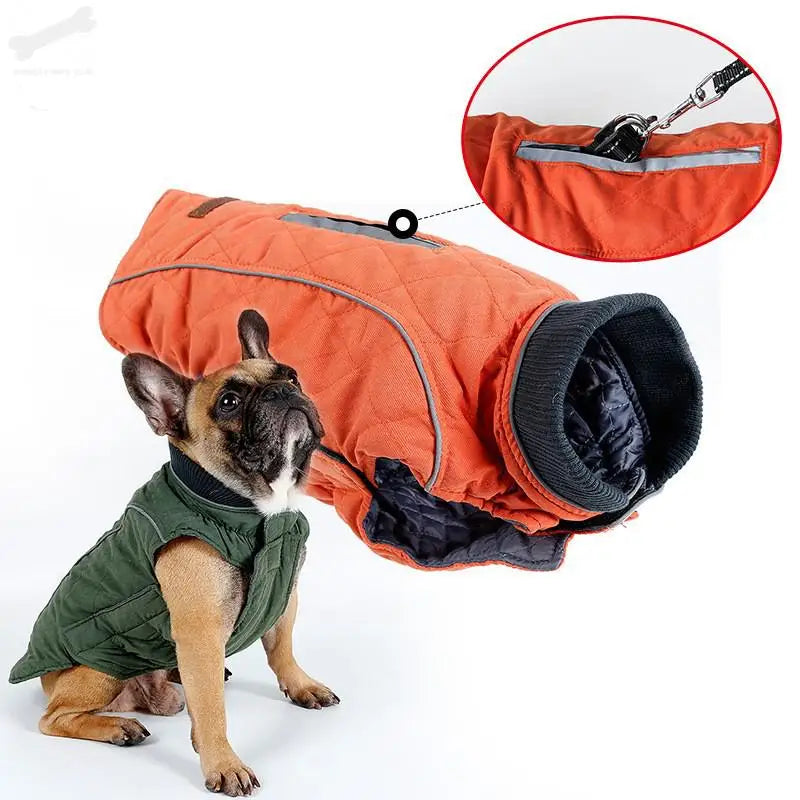 Winter Pet  Jacket