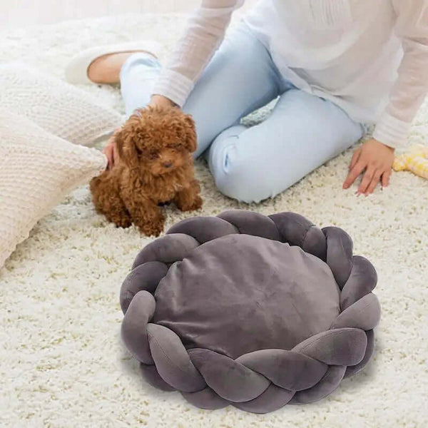Pet Dog / Cat Bed