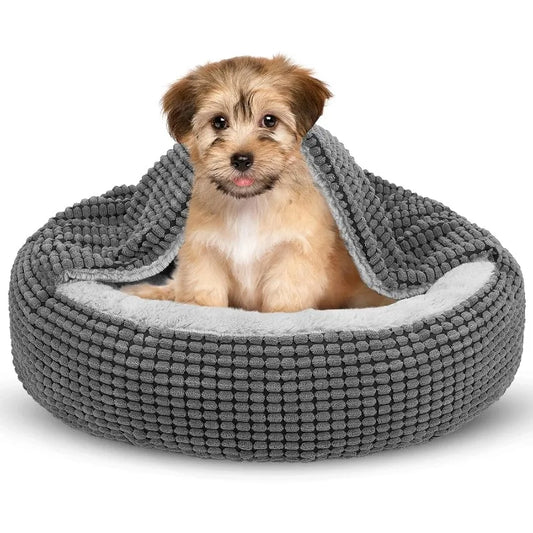 Pet Bed with Blanket