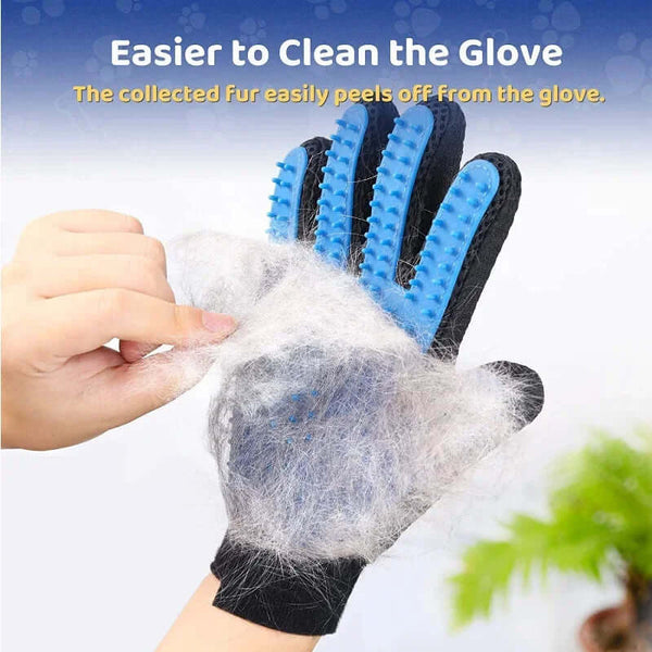 Pet Grooming