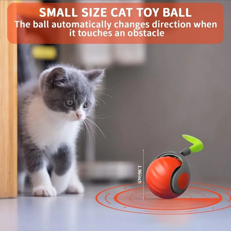 Pet Interactive Ball