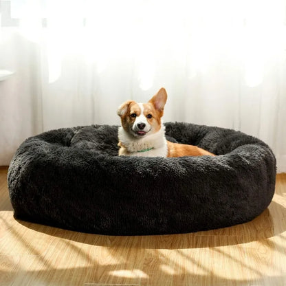 Pet Beds for Medium Dogs / Cats