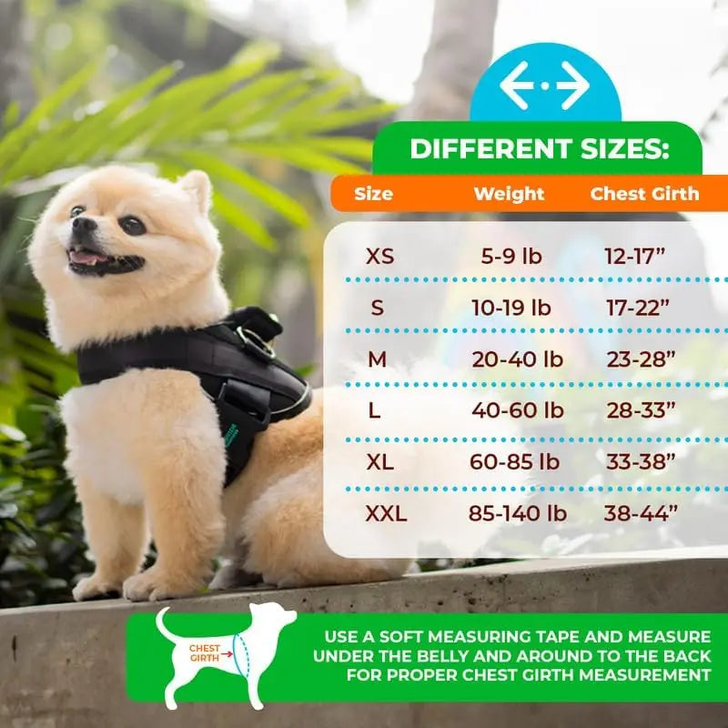 Pet Dog Harness