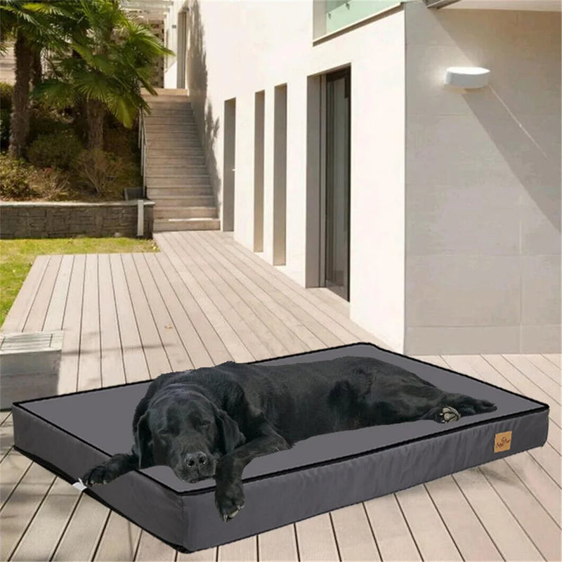 Pet Dog Large Bed