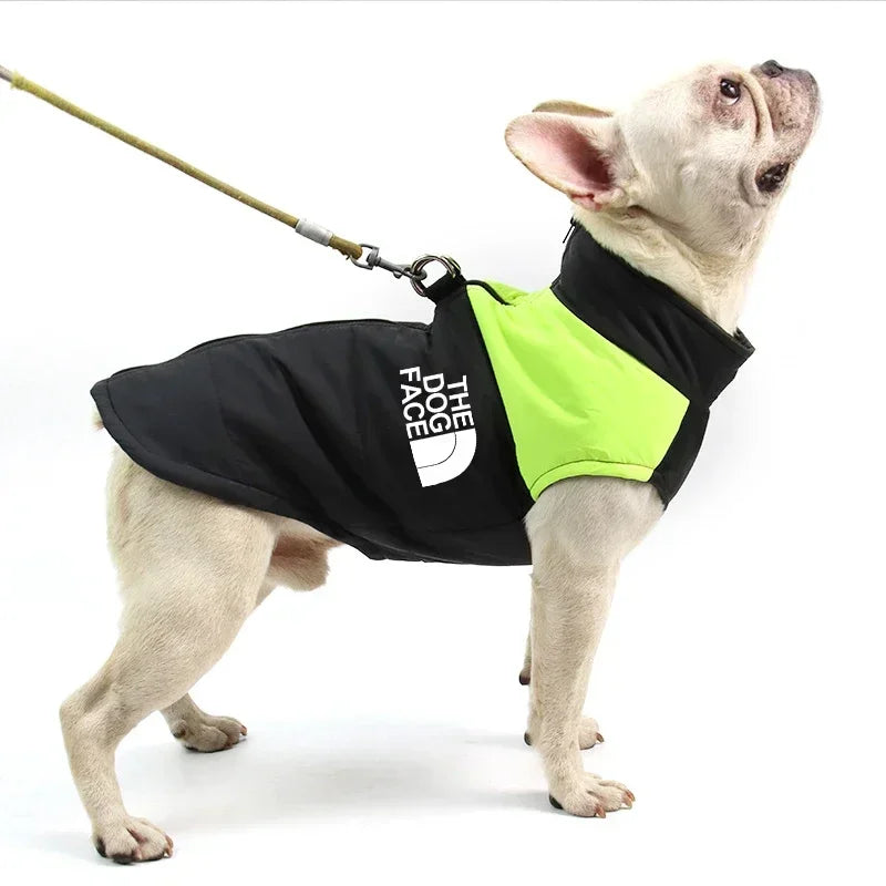 Pet Dog, Jacket, Coat, Vest