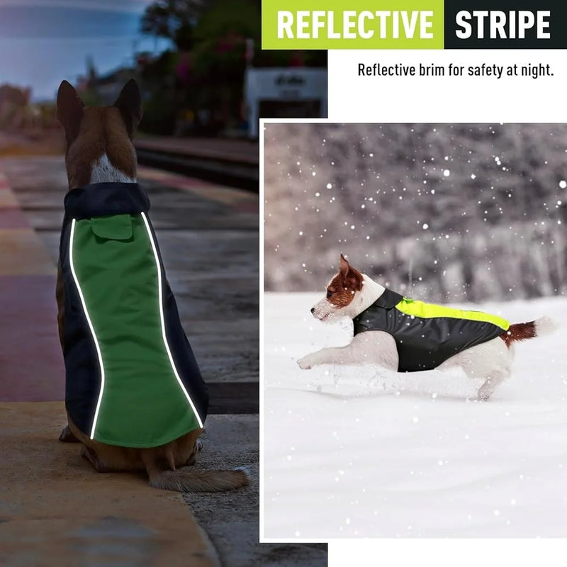 Pet Dog Rain Coat