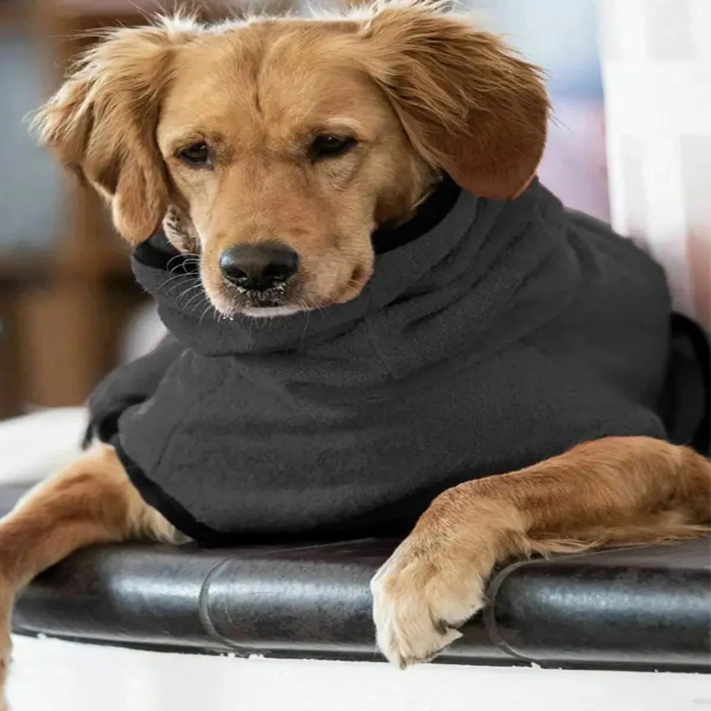 Pet Winter Fleece Coat