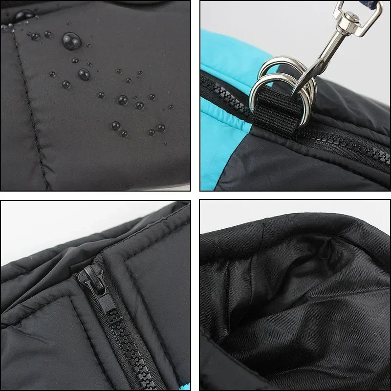 Pet Dog, Jacket, Coat, Vest