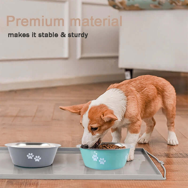 Dog Food / Water Bowls