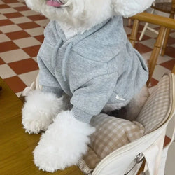 Pet Dog Hoodie
