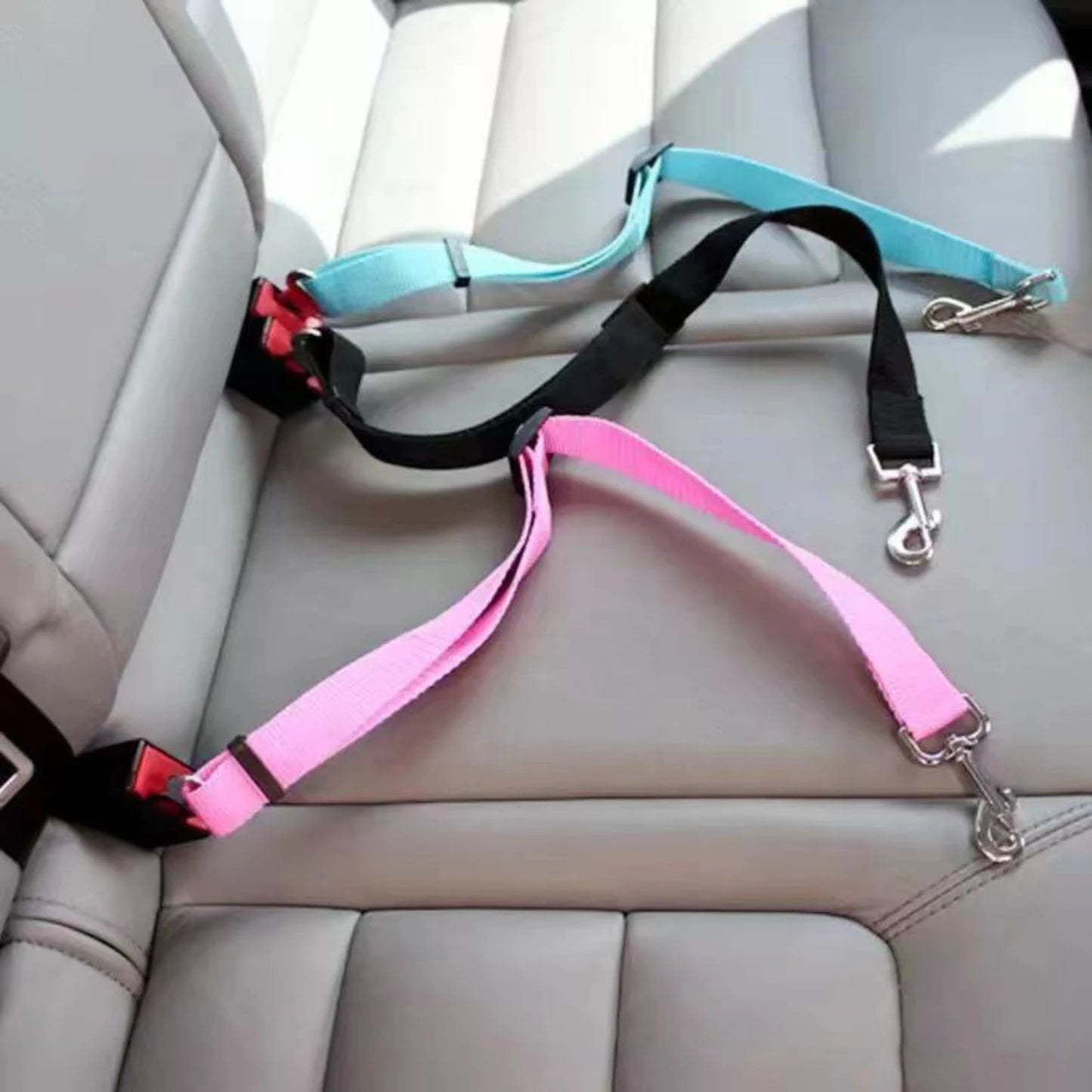 Dog safety Seat Belt Harness