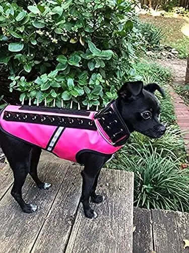Dog  protective Harness