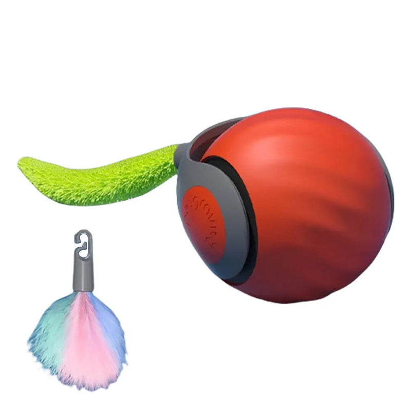 Pet Dog Automatic Ball