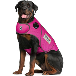 Dog Anxiety Vest