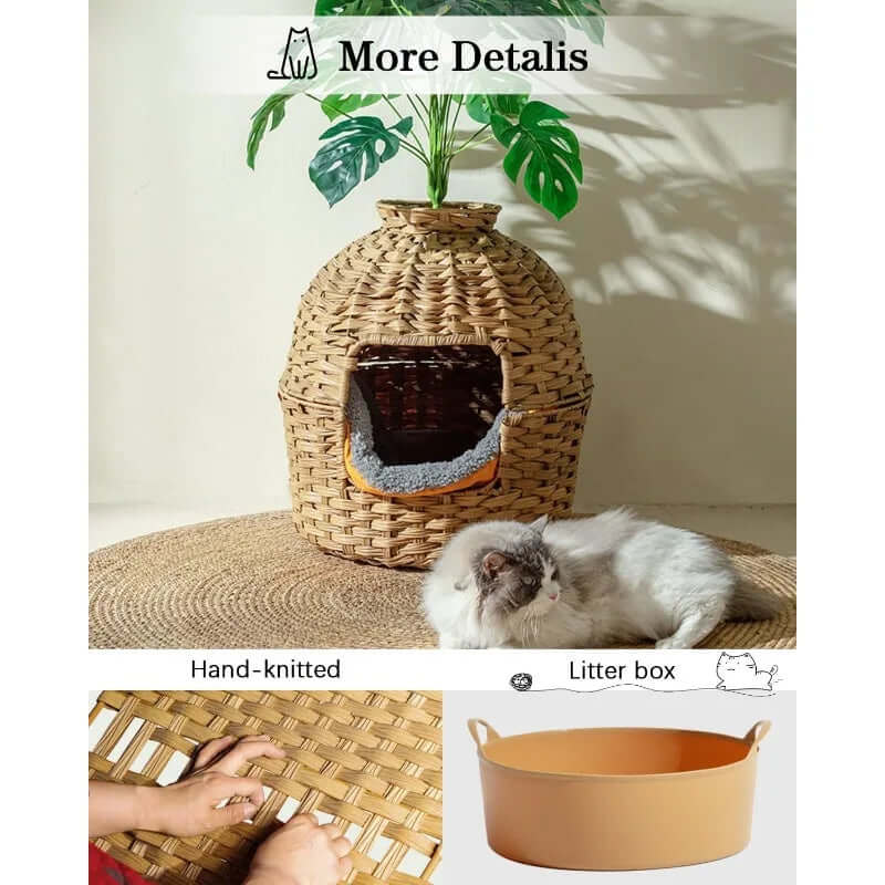 Cat Litter Box