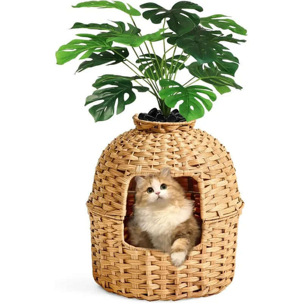 Cat Litter Box