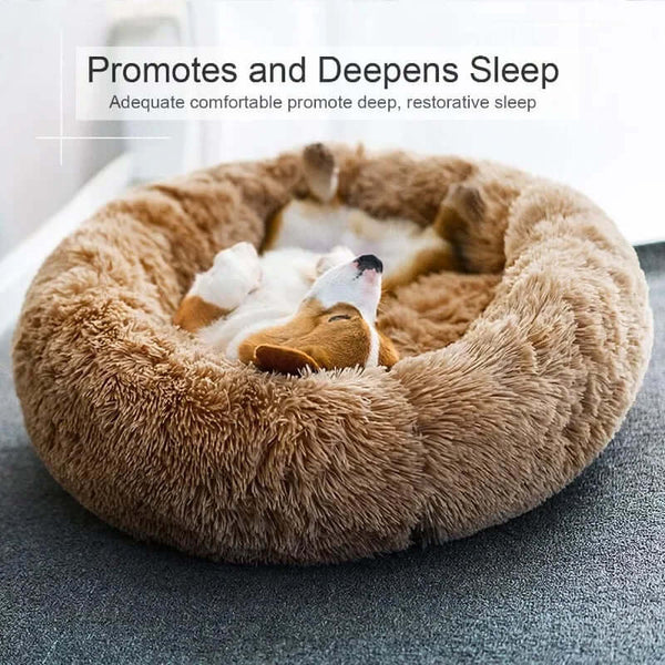 Pet Donut Bed