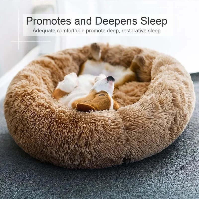Pet Donut Bed