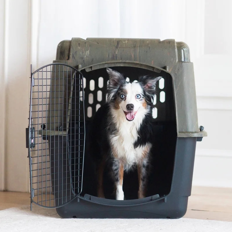 pet Dog Cage/Kennel