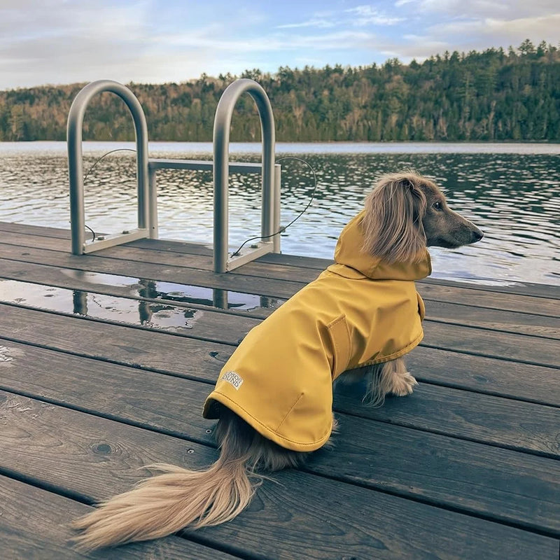 Pet Dachshund Raincoat