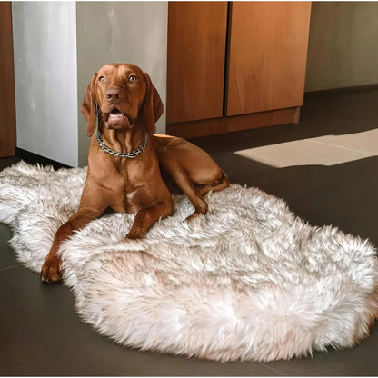 Pet Luxury Orthopedic Dog Bed