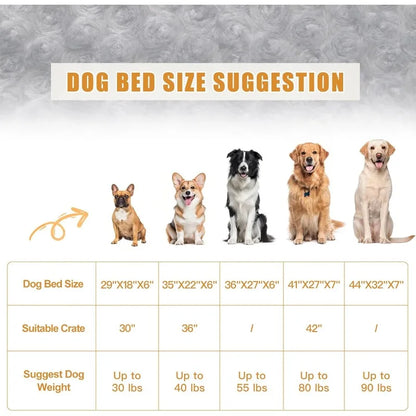 Pet Orthopedic Bed