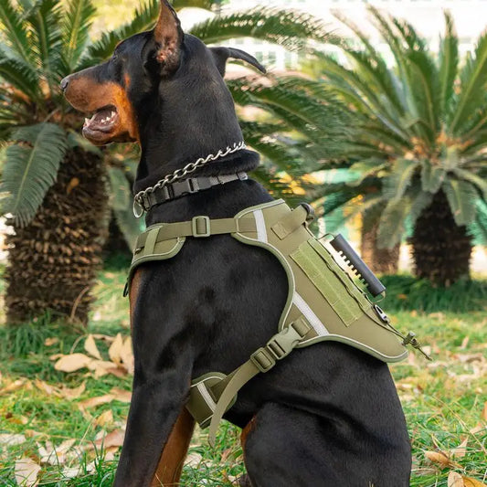 Pet Dog Harness