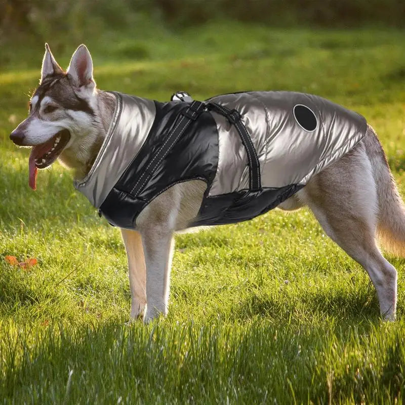 Pet Waterproof Winter Jacket