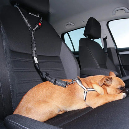 Pet Car Seat Belt