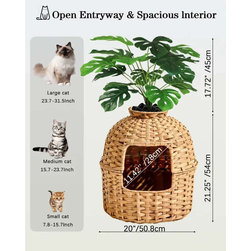 Cat Litter Box