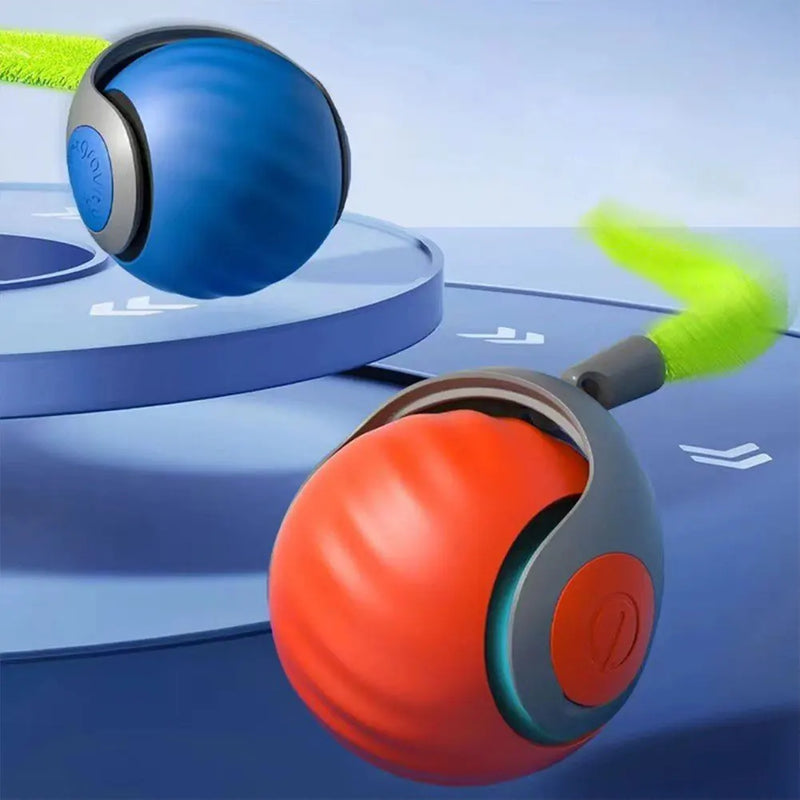 Pet Dog Automatic Ball