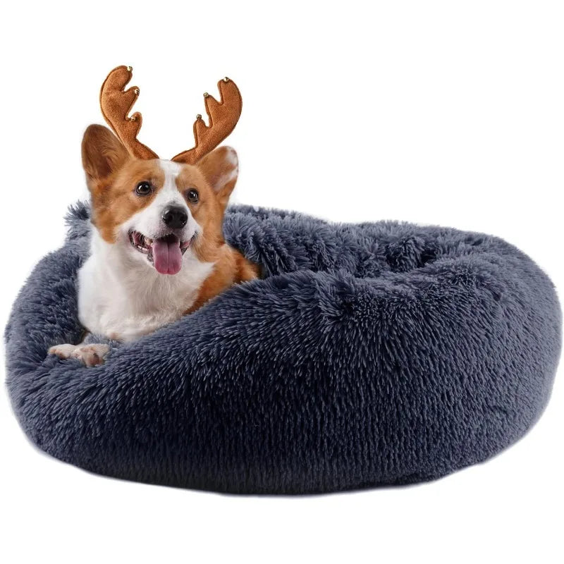 Pet Anxiety Bed with Blanket