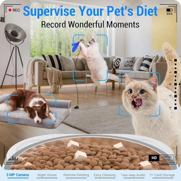 Pet Automatic Dog/Cat Feeder