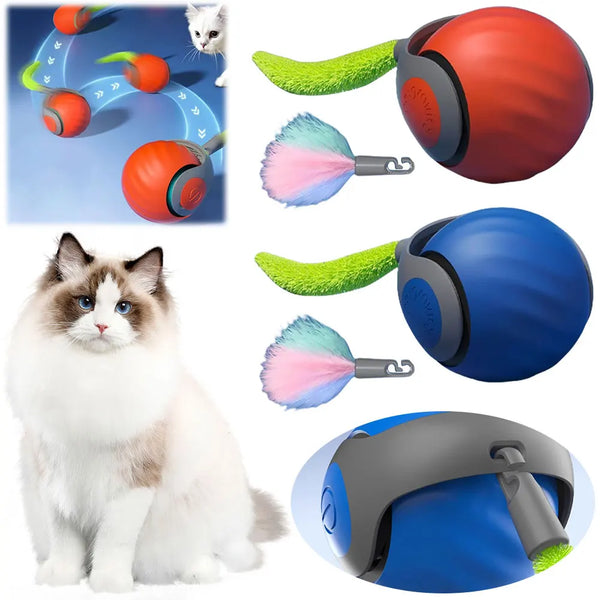 Pet Dog Automatic Ball