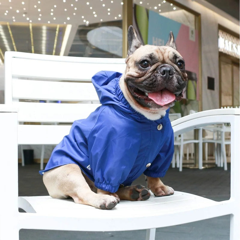 Pet Dog Jacket