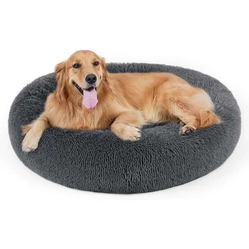 Pet Donut Bed