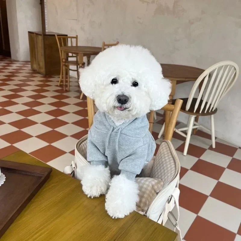 Pet Dog Hoodie