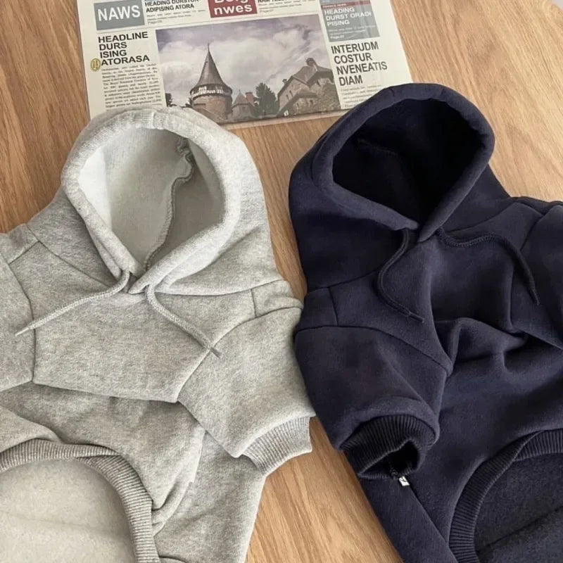 Pet Dog Hoodie