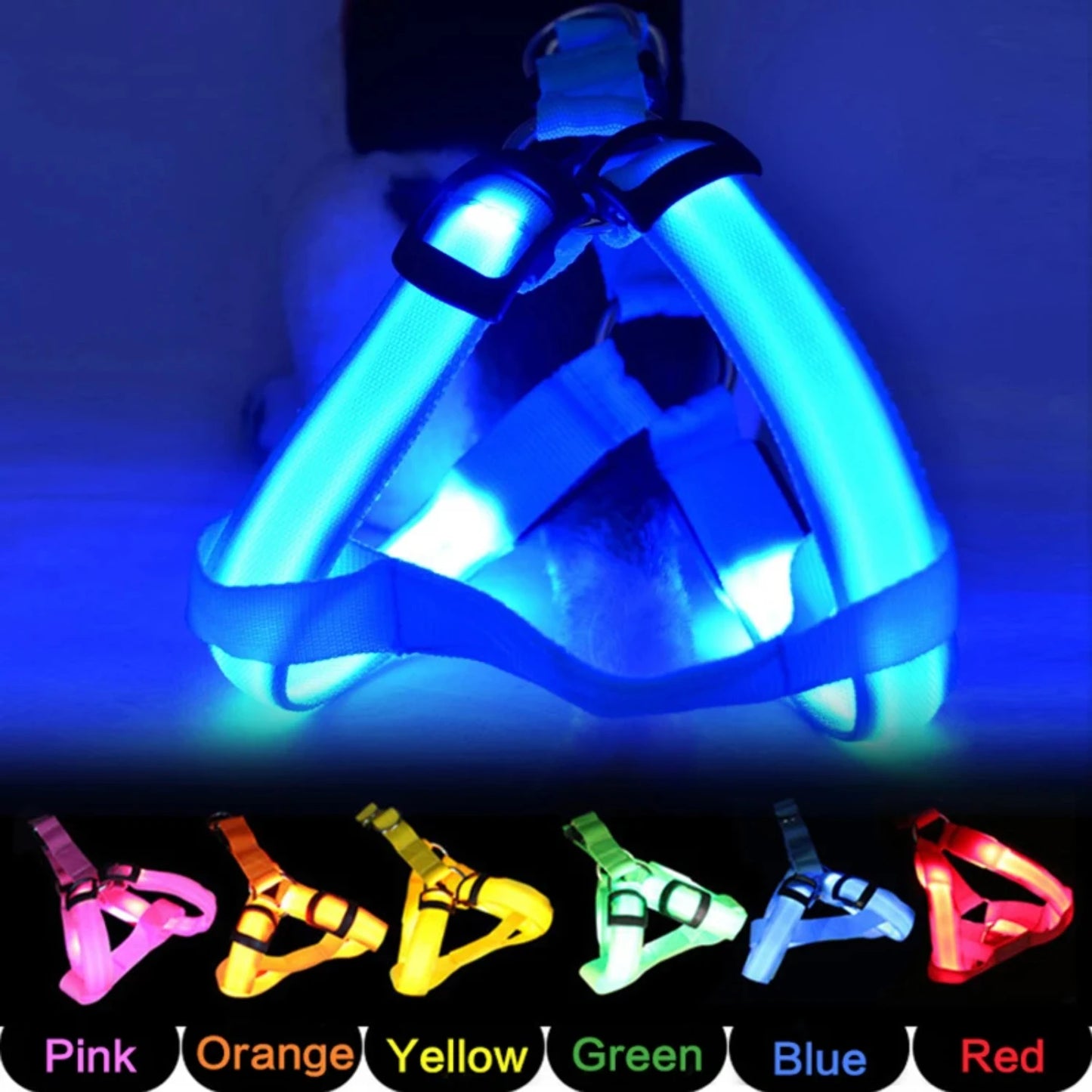 Pet LED Harness