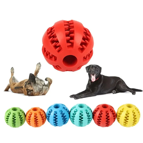 Dog Squeaky Ball Toy