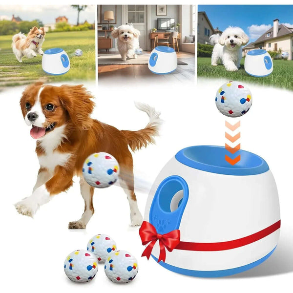 Pet interactive Toy