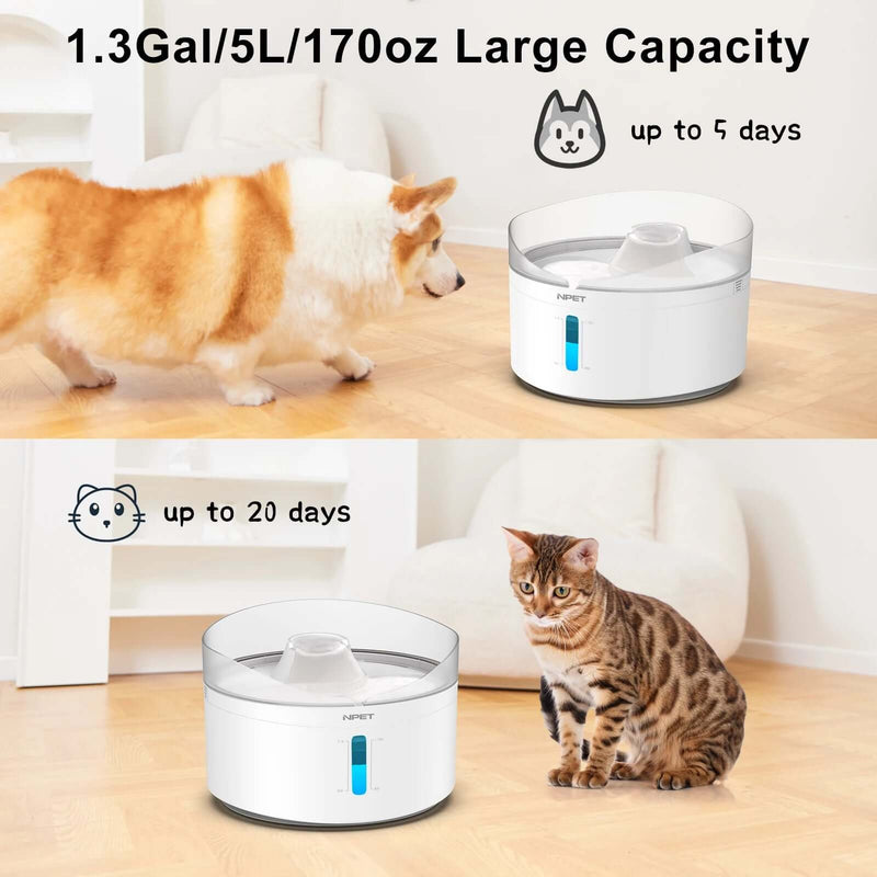 Automatic dog water fountain