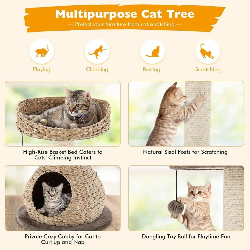 Pet Cat Tree