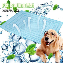 Pet Dog Cooling